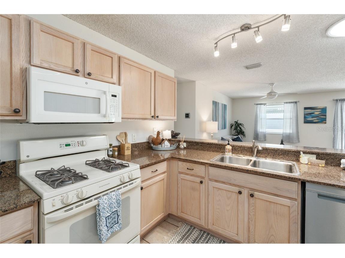 3468 Roanoke Street The Villages FL 32162 G5105647 image22