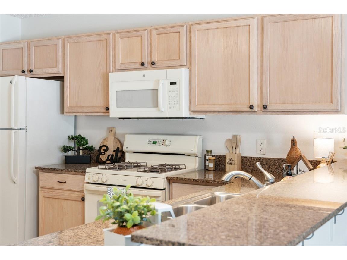 3468 Roanoke Street The Villages FL 32162 G5105647 image23