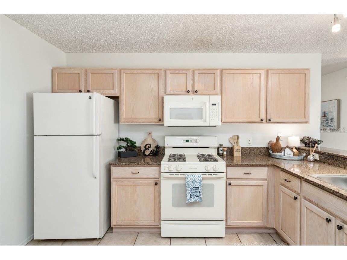 3468 Roanoke Street The Villages FL 32162 G5105647 image24