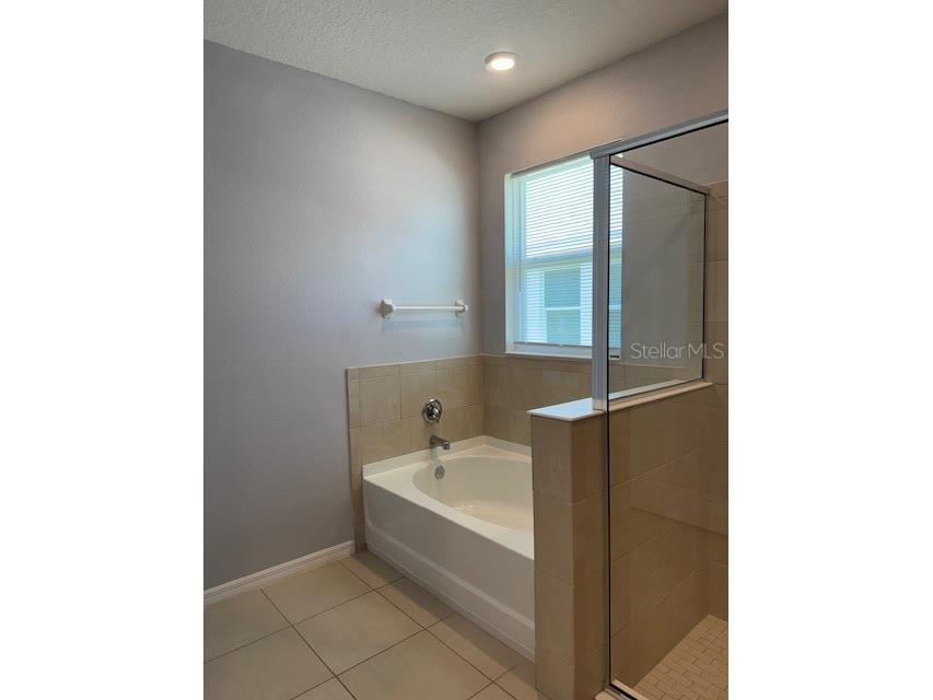 3469 Autumn Amber Drive Spring Hill FL 34609 W7884021 image11