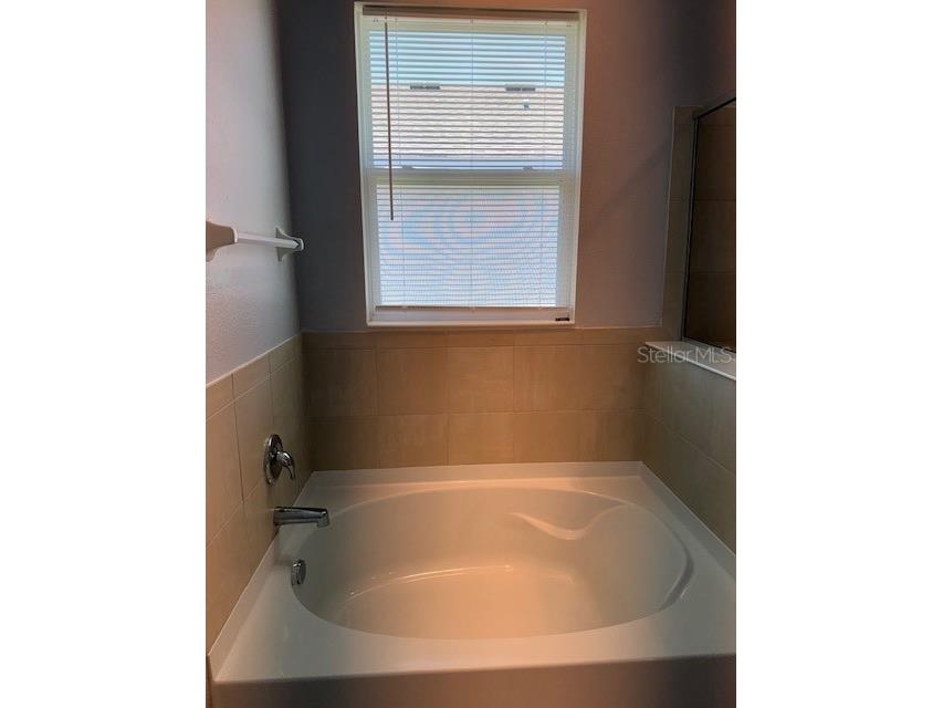 3469 Autumn Amber Drive Spring Hill FL 34609 W7884021 image14