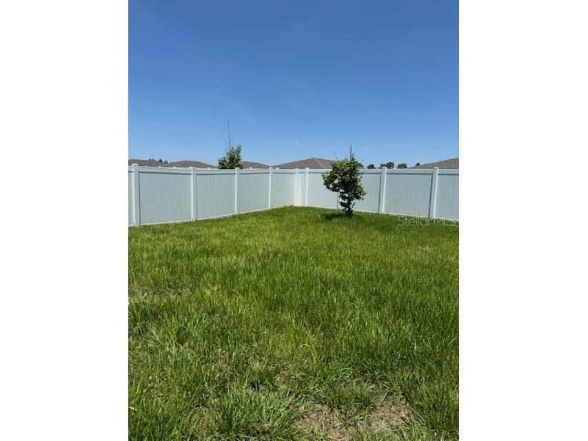 3469 Autumn Amber Drive Spring Hill FL 34609 W7884021 image55