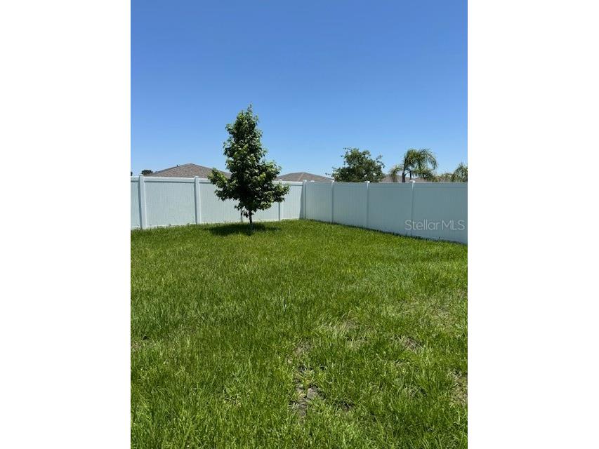 3469 Autumn Amber Drive Spring Hill FL 34609 W7884021 image56