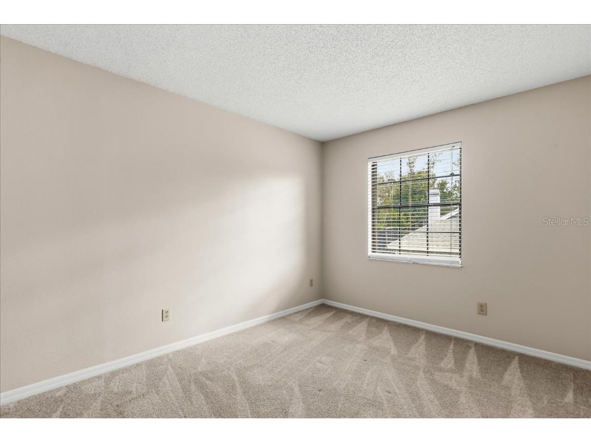 3469 Rolling Trail Palm Harbor FL 34684 O6354122 image19