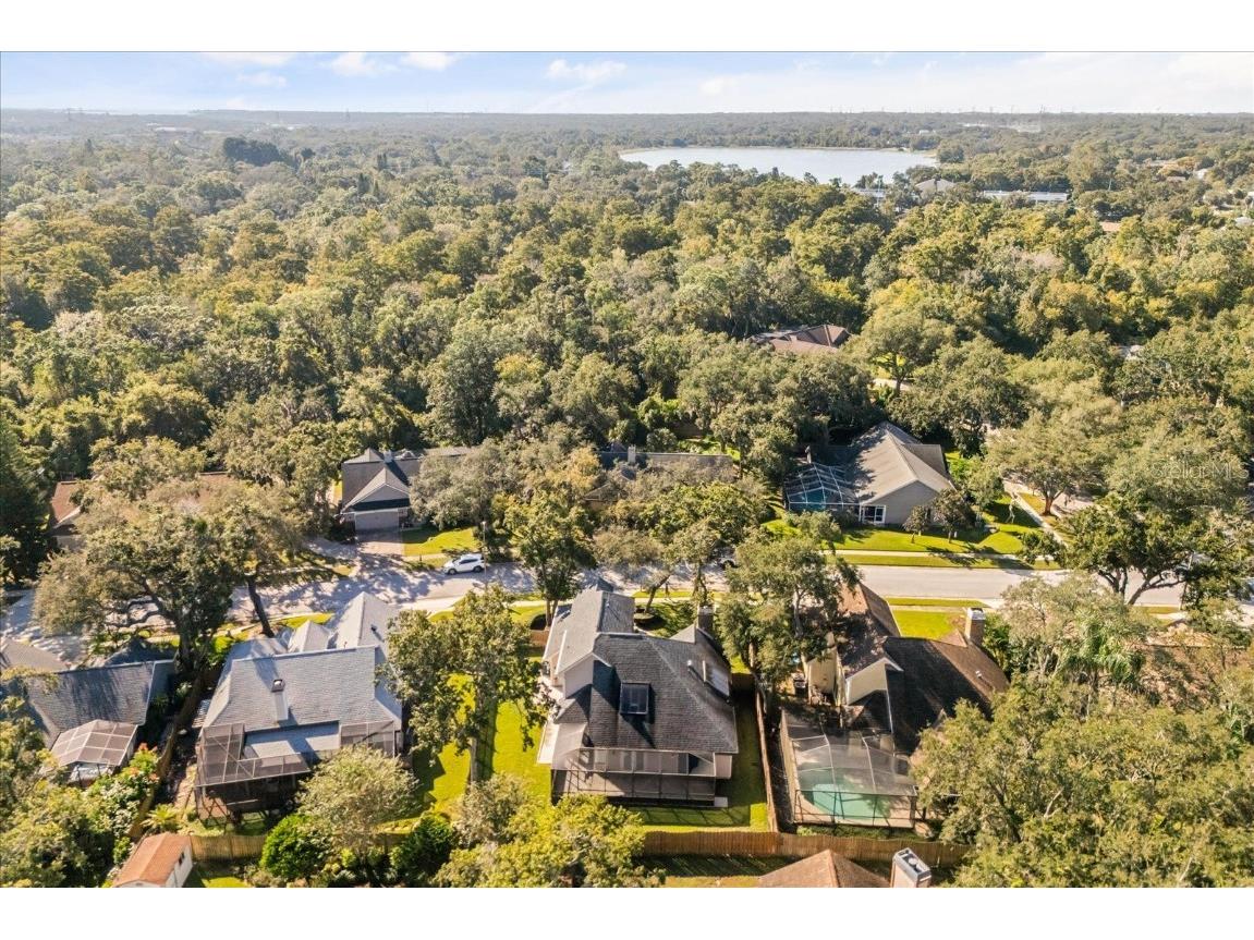 3469 Rolling Trail Palm Harbor FL 34684 O6354122 image37