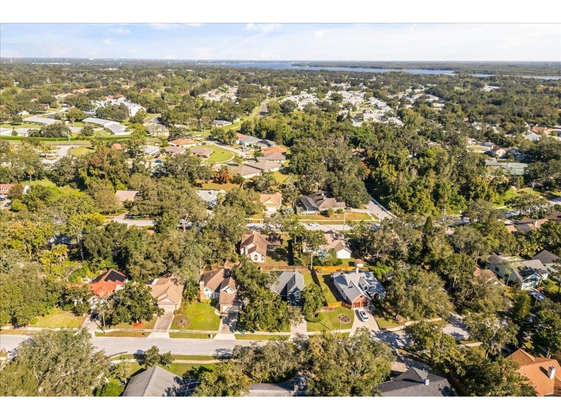 3469 Rolling Trail Palm Harbor FL 34684 O6354122 image38