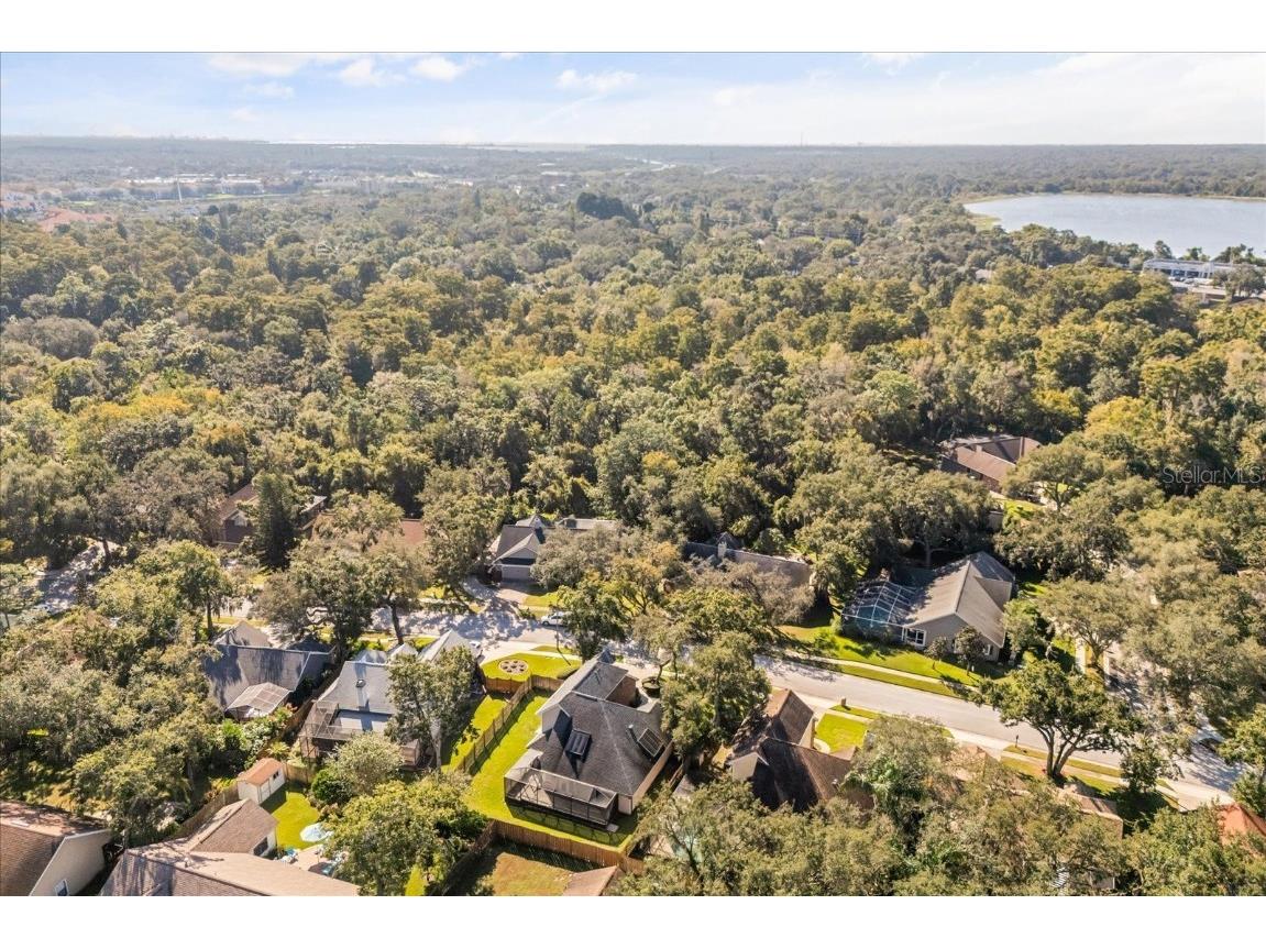 3469 Rolling Trail Palm Harbor FL 34684 O6354122 image39