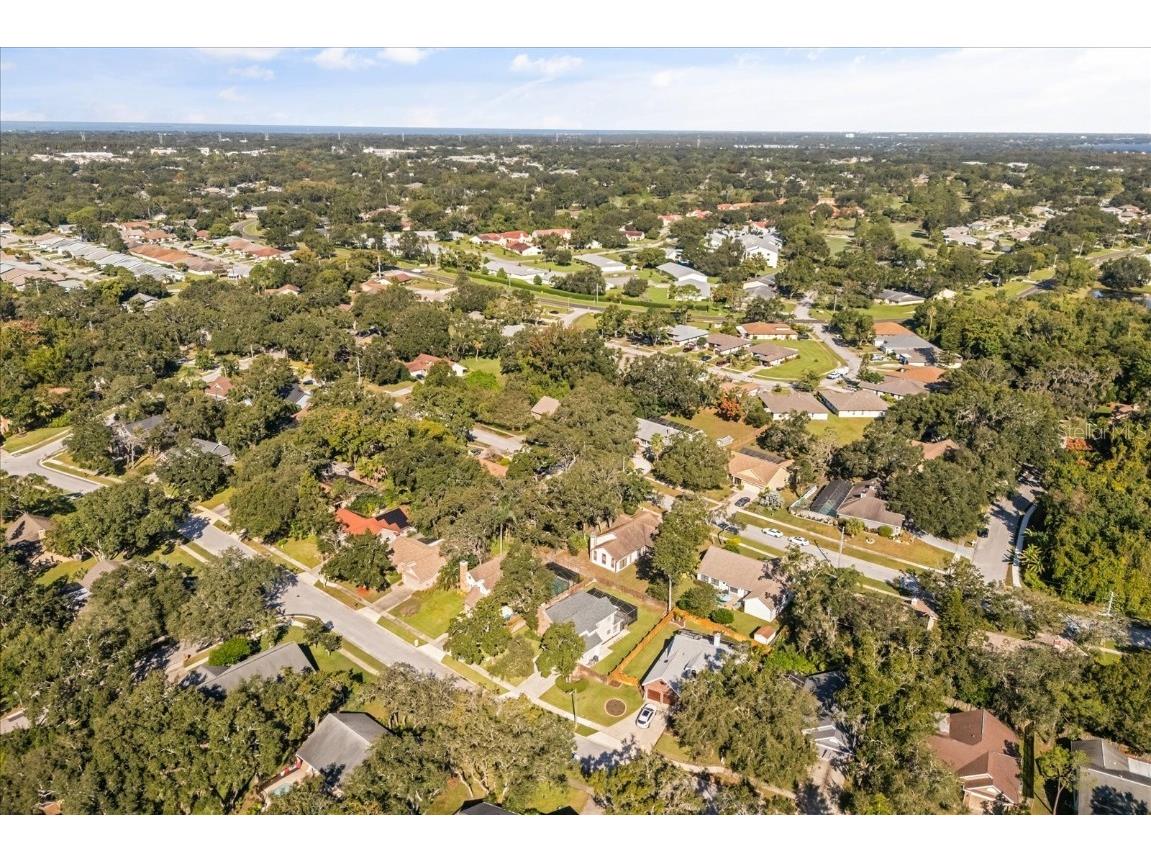 3469 Rolling Trail Palm Harbor FL 34684 O6354122 image40