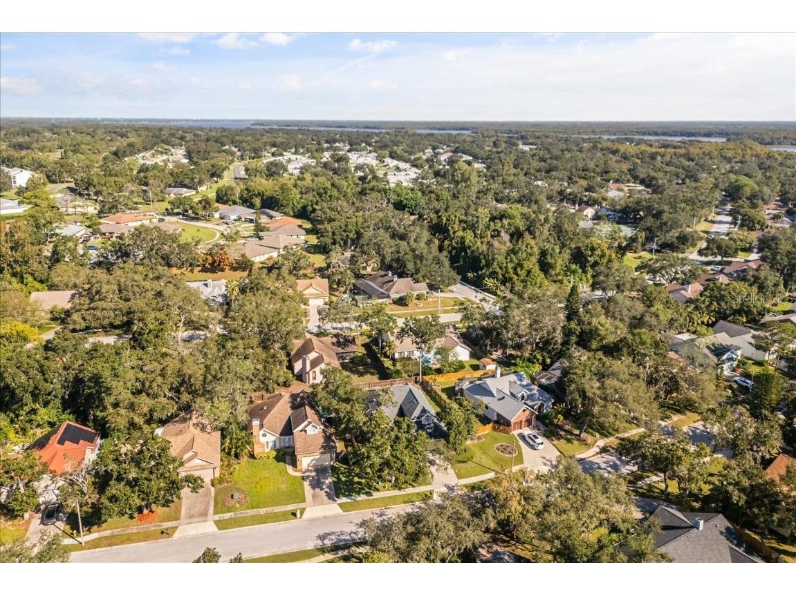 3469 Rolling Trail Palm Harbor FL 34684 O6354122 image41