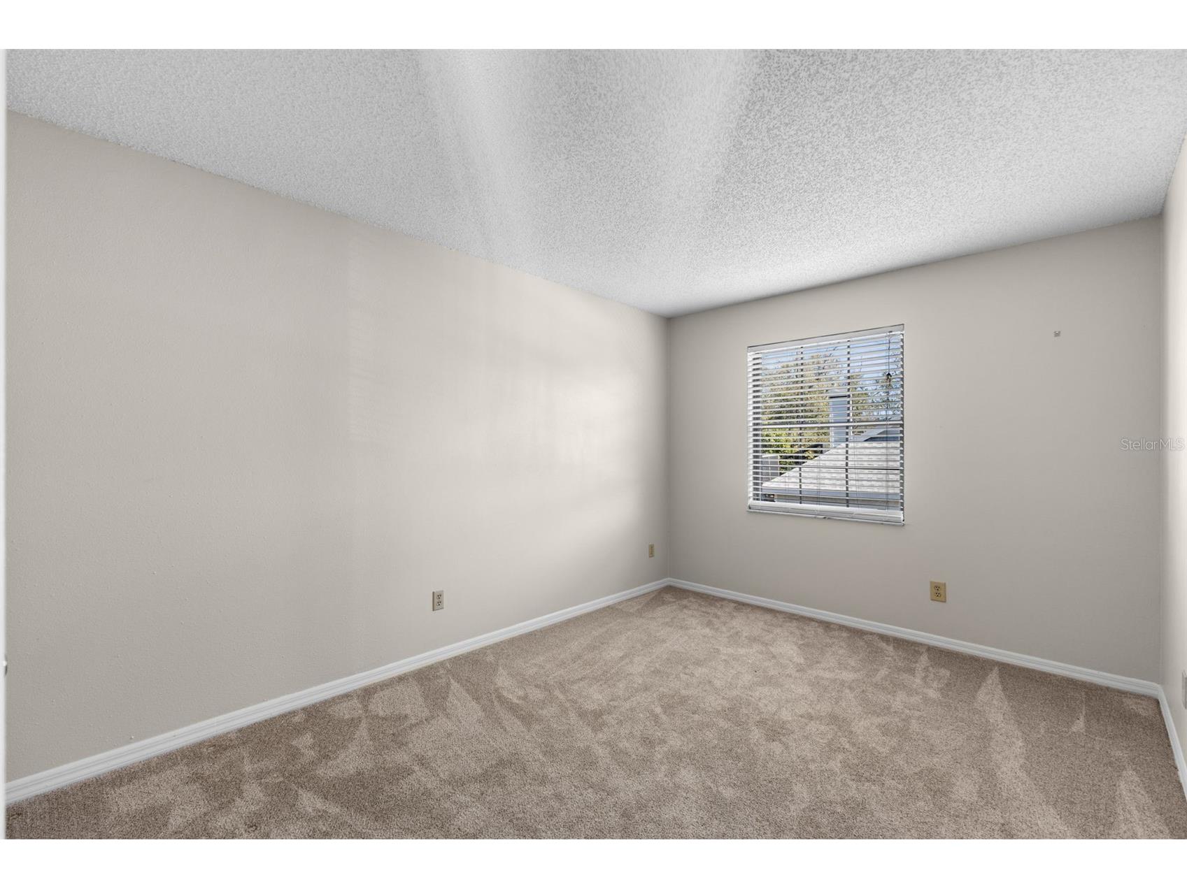 3469 Rolling Trail Palm Harbor FL 34684 TB8464025 image31