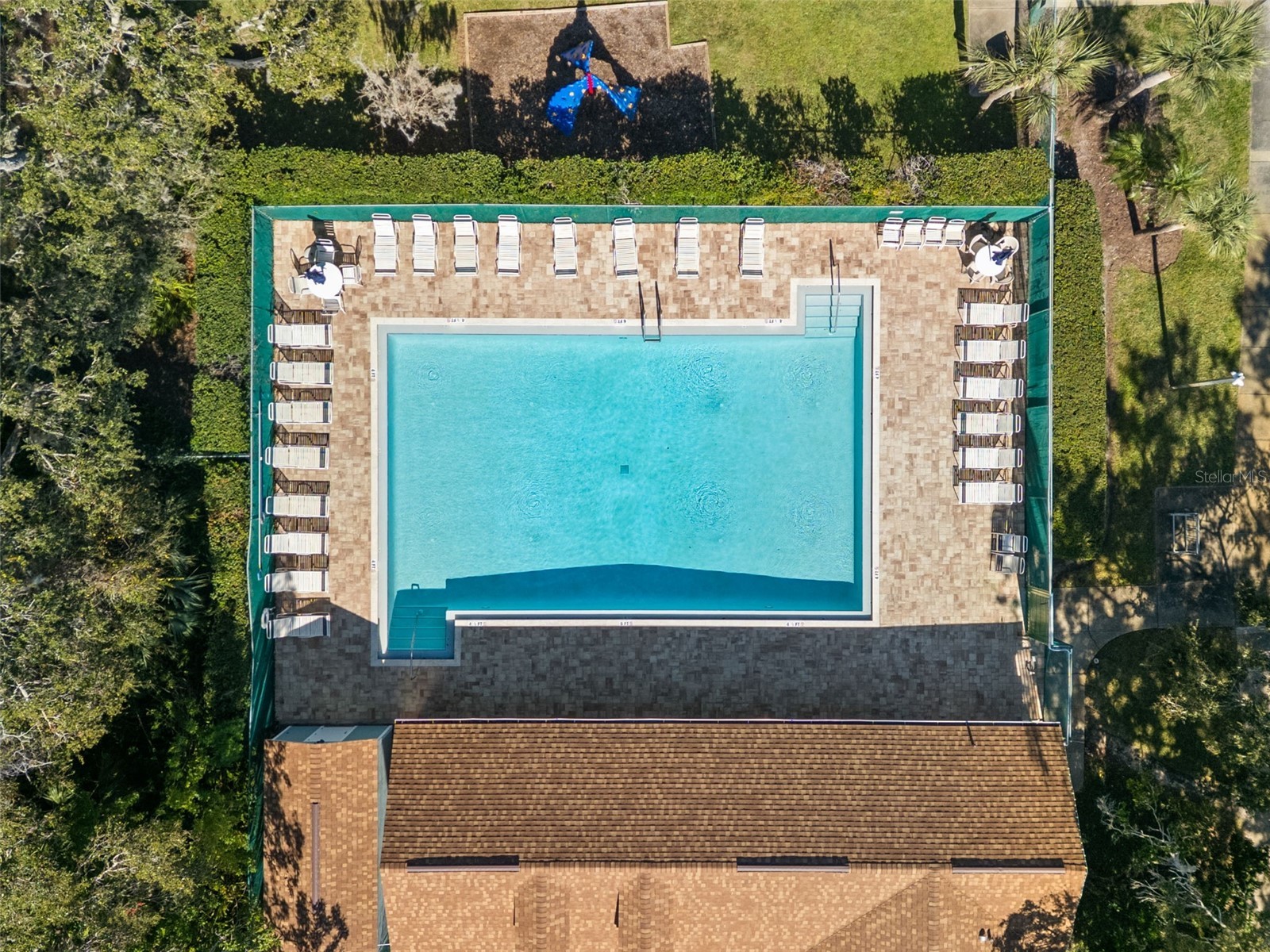 3469 Rolling Trail Palm Harbor FL 34684 TB8464025 image44