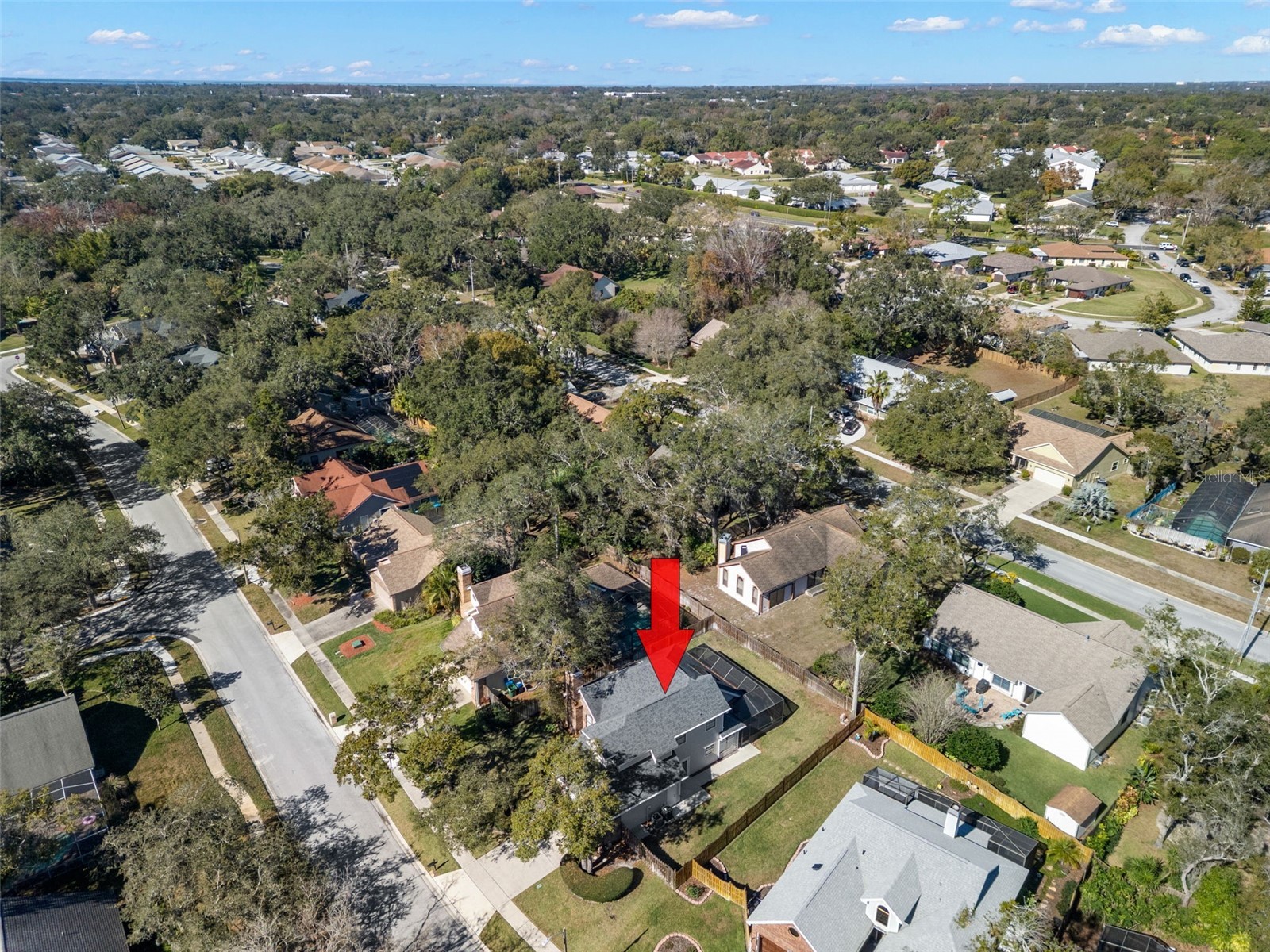 3469 Rolling Trail Palm Harbor FL 34684 TB8464025 image50