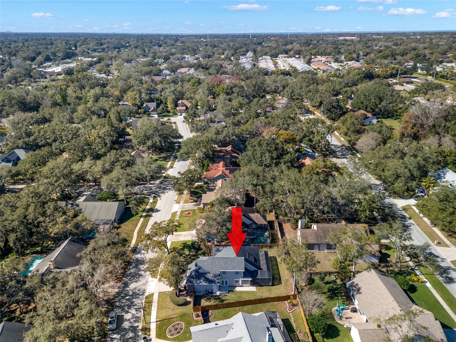 3469 Rolling Trail Palm Harbor FL 34684 TB8464025 image51