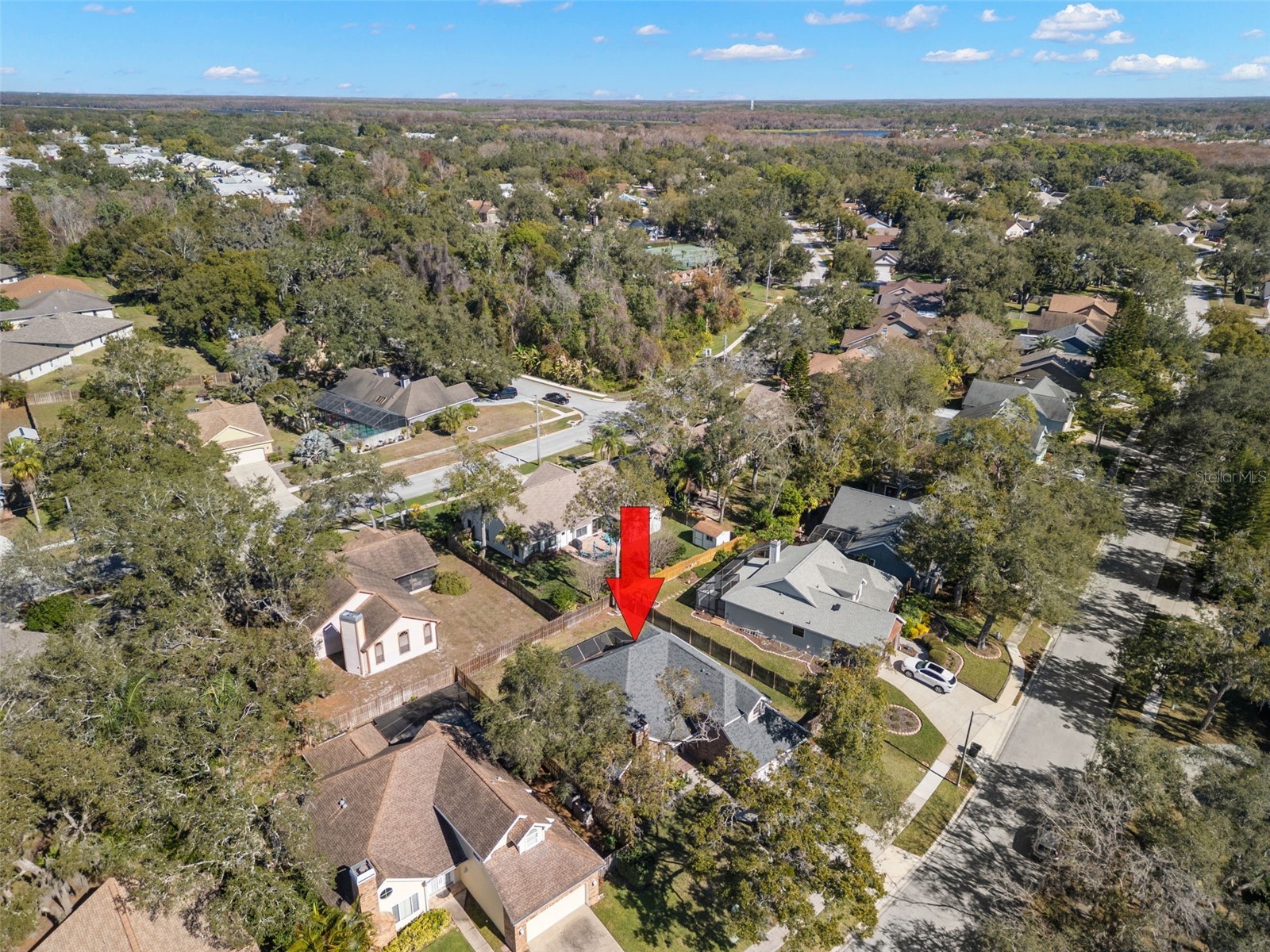 3469 Rolling Trail Palm Harbor FL 34684 TB8464025 image54