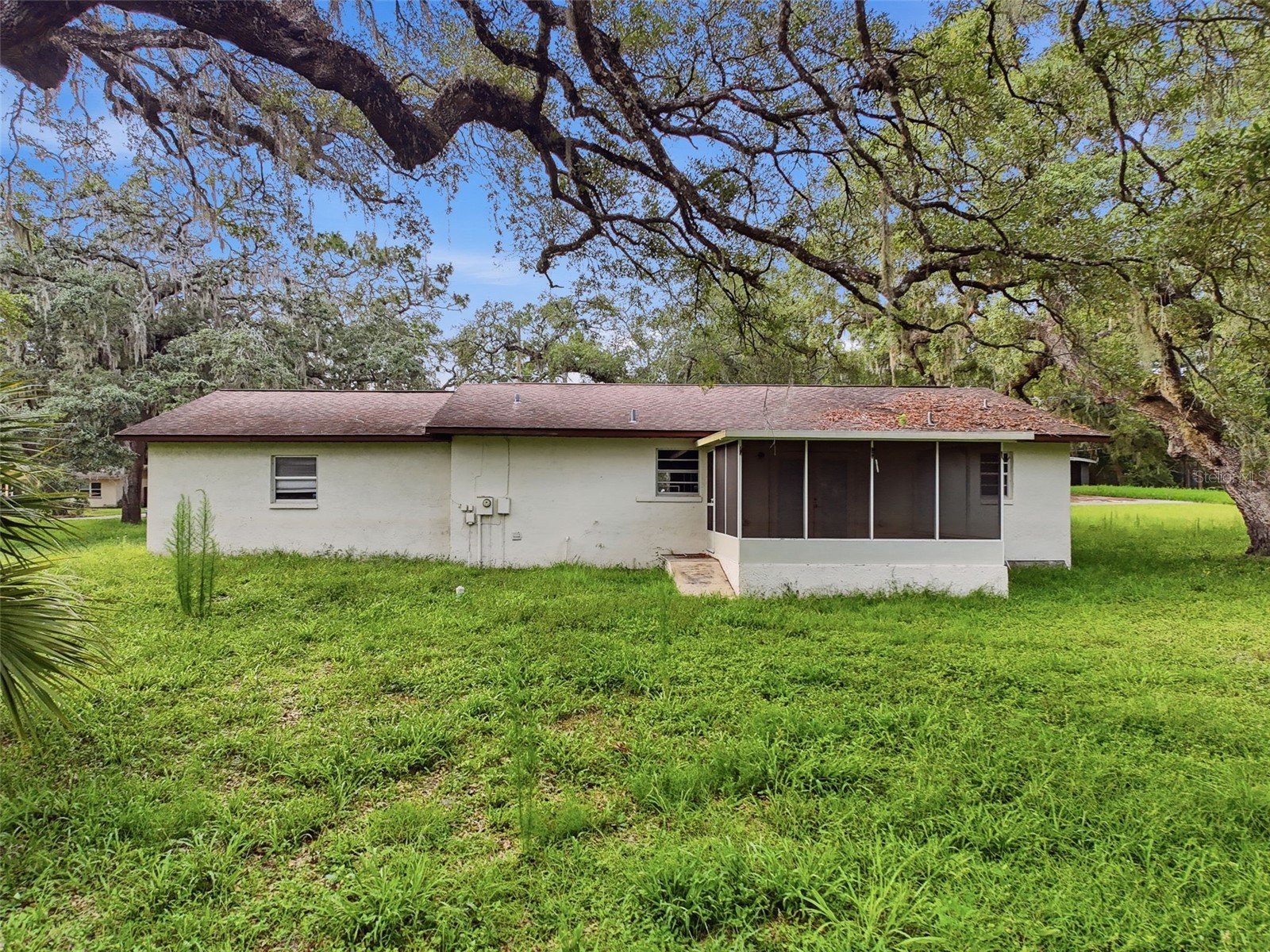 34696 Orchid Parkway Dade City FL 33523 W7887109 image10