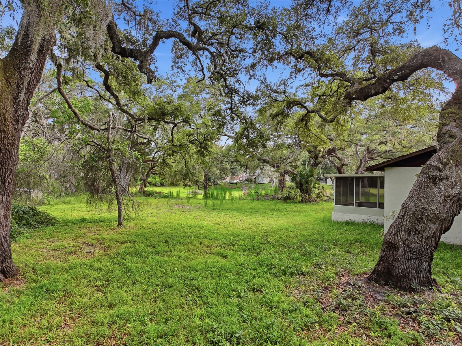 34696 Orchid Parkway Dade City FL 33523 W7887109 image11