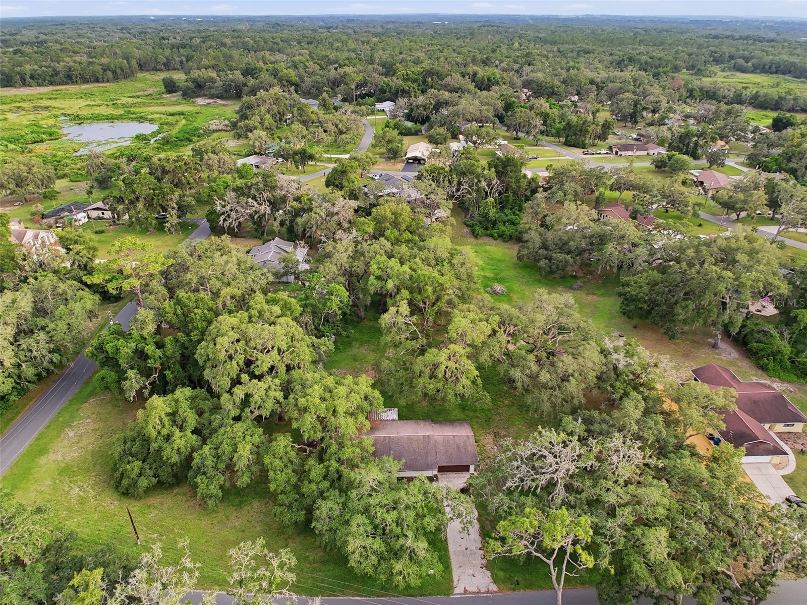 34696 Orchid Parkway Dade City FL 33523 W7887109 image12