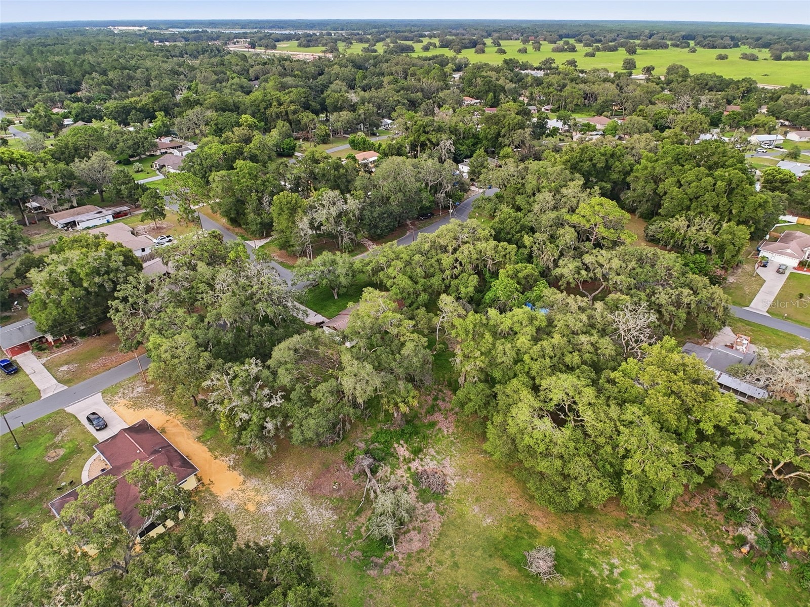 34696 Orchid Parkway Dade City FL 33523 W7887109 image16