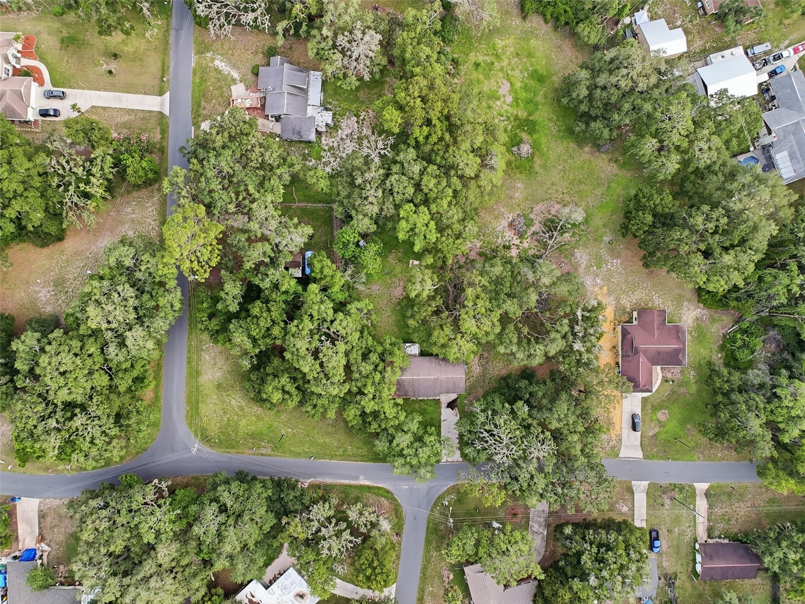 34696 Orchid Parkway Dade City FL 33523 W7887109 image17