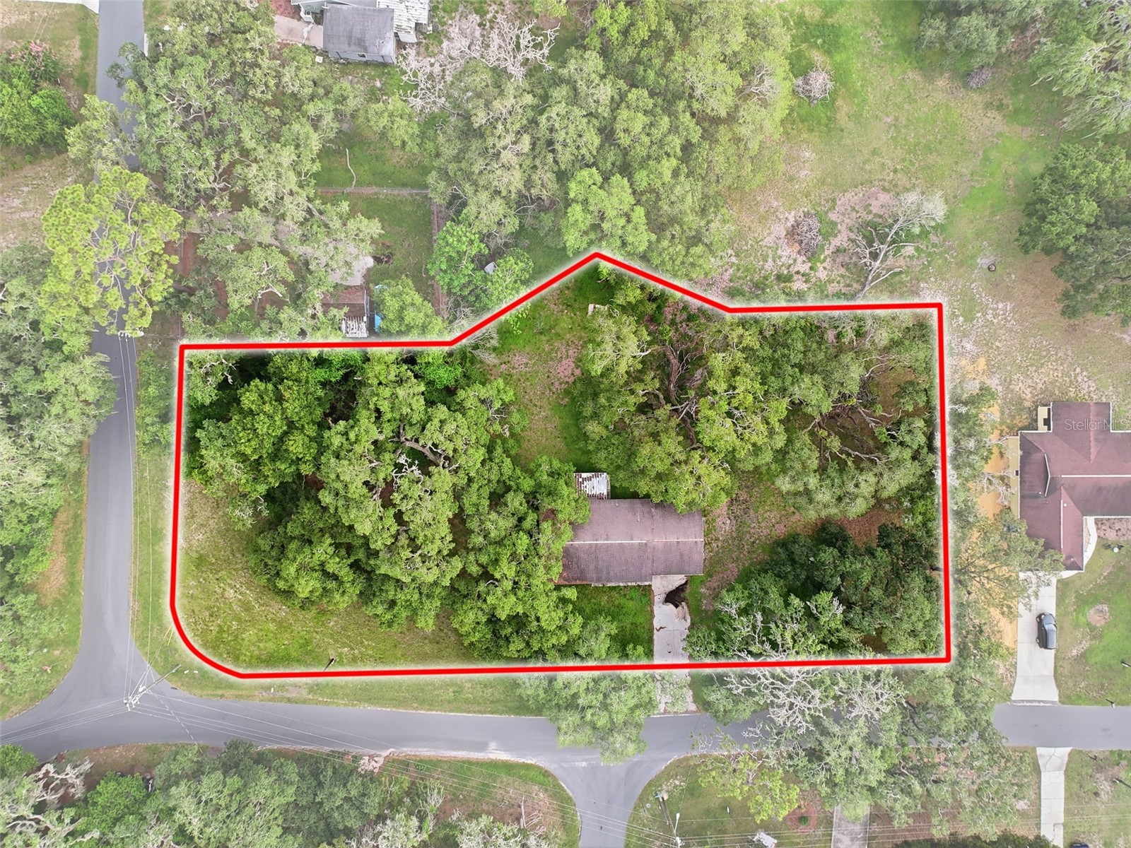 34696 Orchid Parkway Dade City FL 33523 W7887109 image18