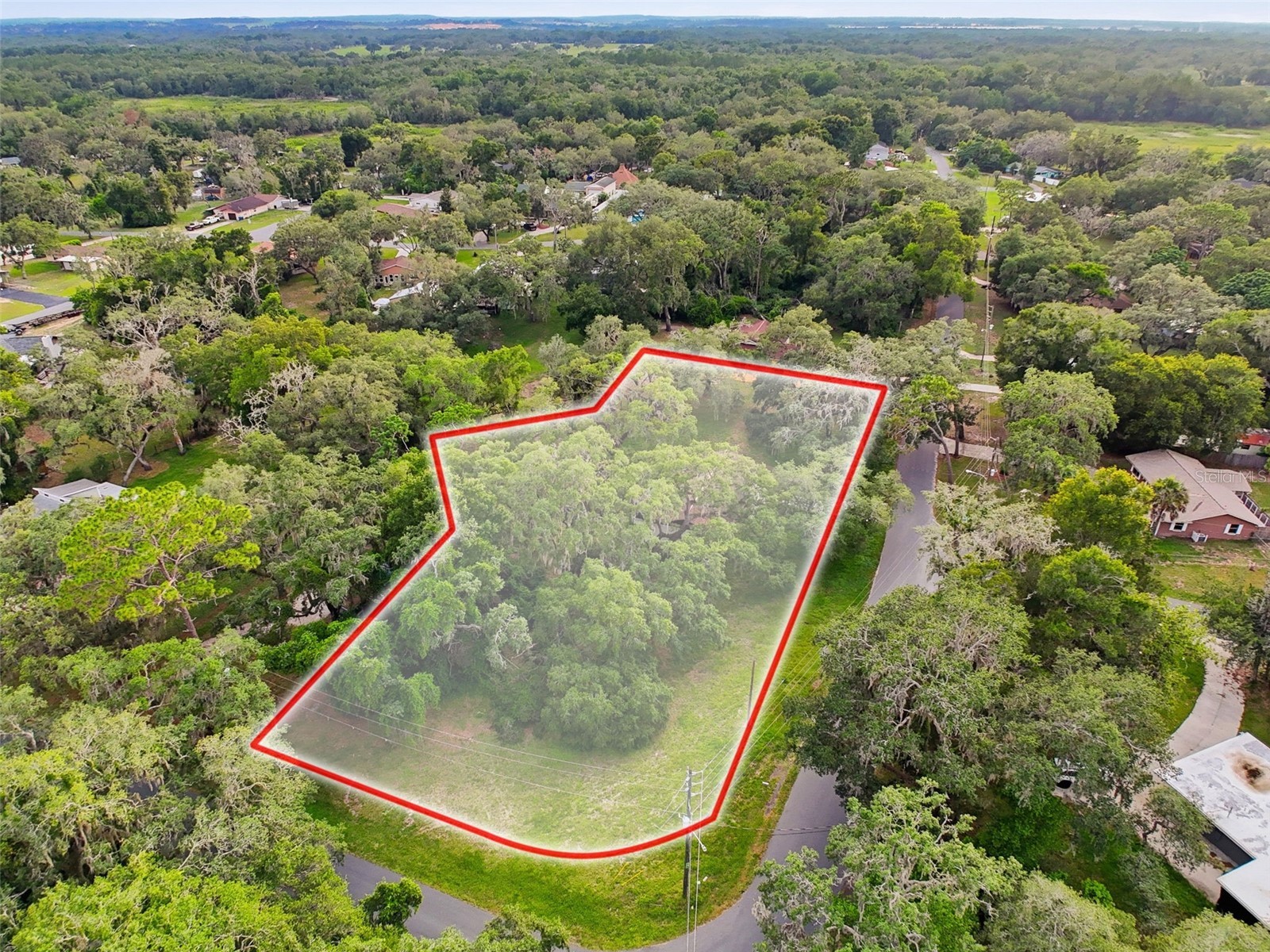 34696 Orchid Parkway Dade City FL 33523 W7887109 image19