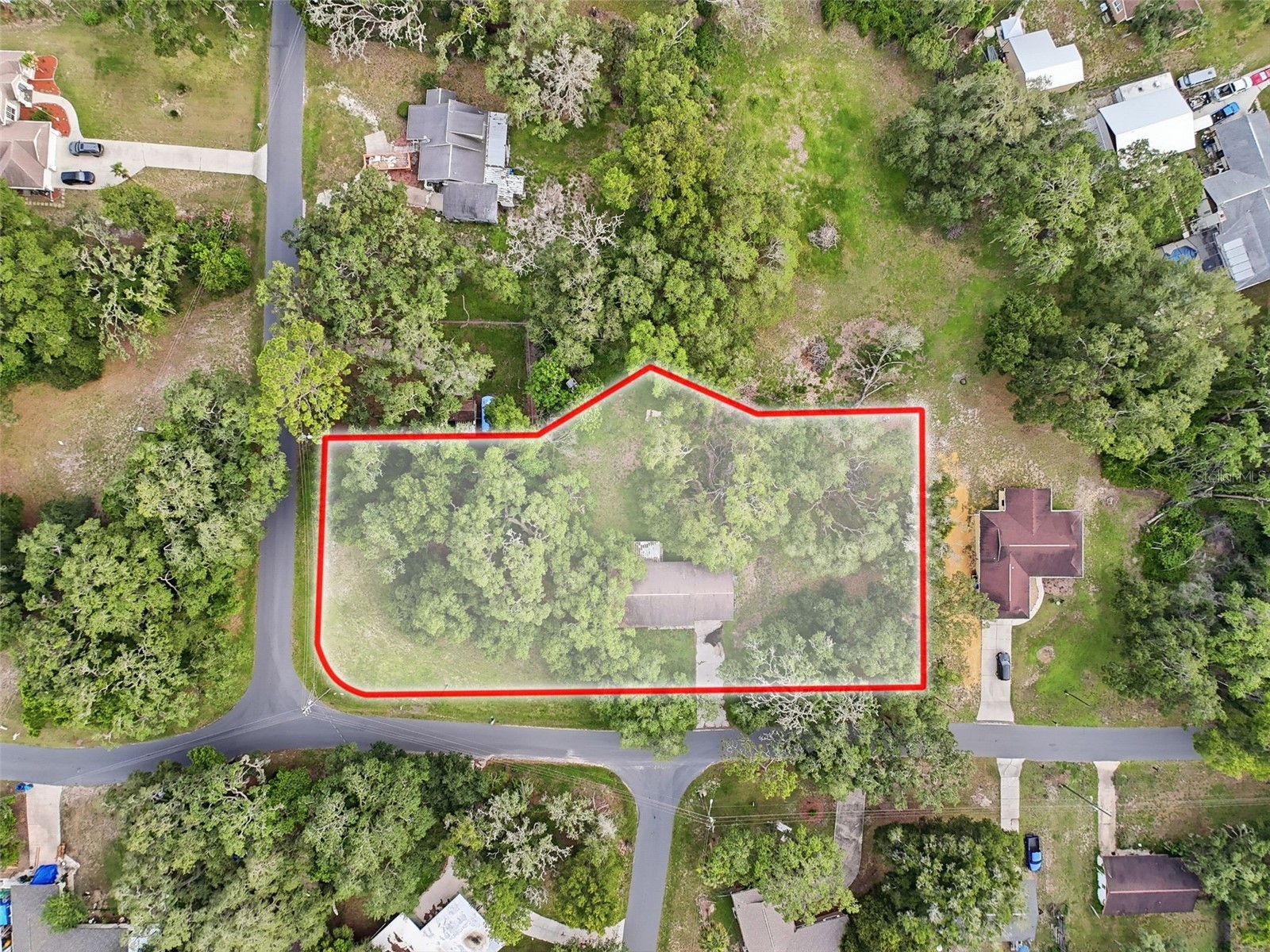 34696 Orchid Parkway Dade City FL 33523 W7887109 image2