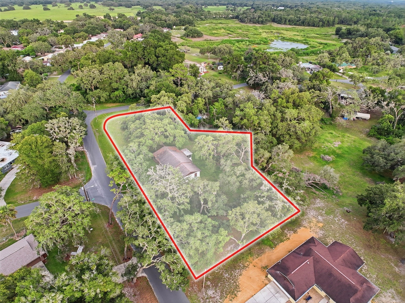 34696 Orchid Parkway Dade City FL 33523 W7887109 image20
