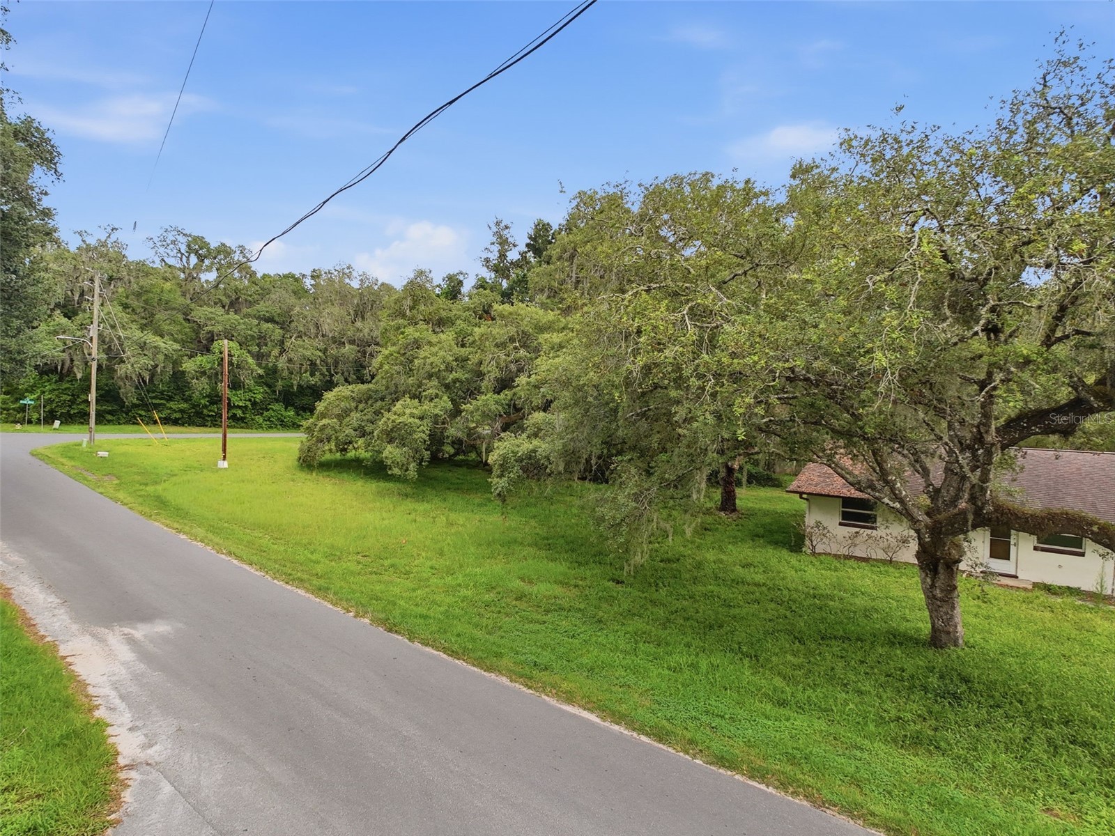 34696 Orchid Parkway Dade City FL 33523 W7887109 image5
