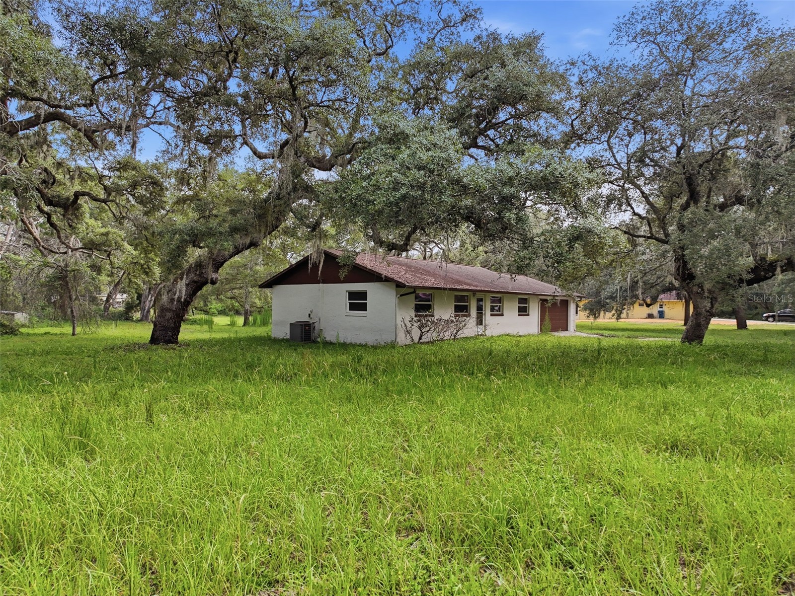34696 Orchid Parkway Dade City FL 33523 W7887109 image6