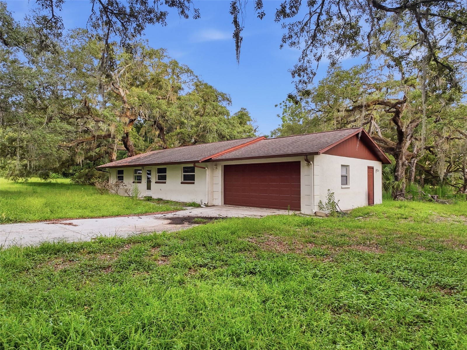 34696 Orchid Parkway Dade City FL 33523 W7887109 image7