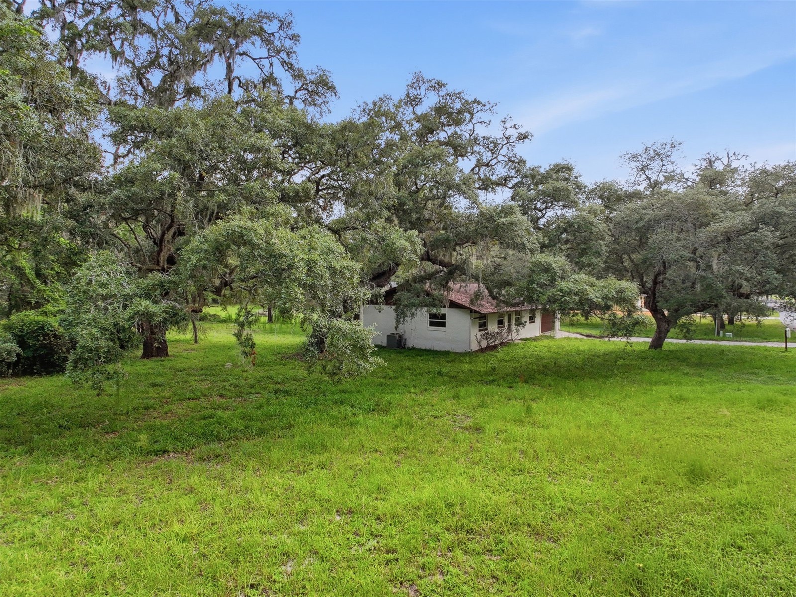 34696 Orchid Parkway Dade City FL 33523 W7887109 image8
