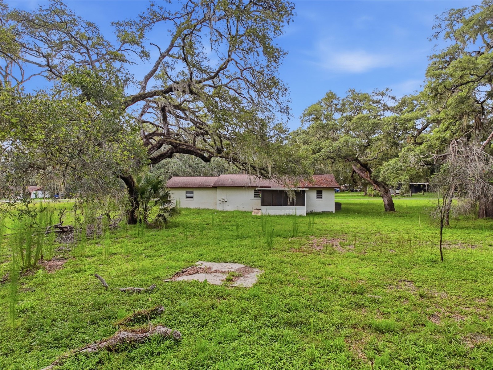 34696 Orchid Parkway Dade City FL 33523 W7887109 image9
