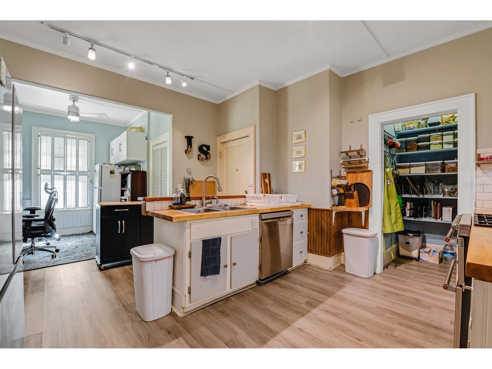 347 E 3rd Avenue Mount Dora FL 32757 V4947879 image32