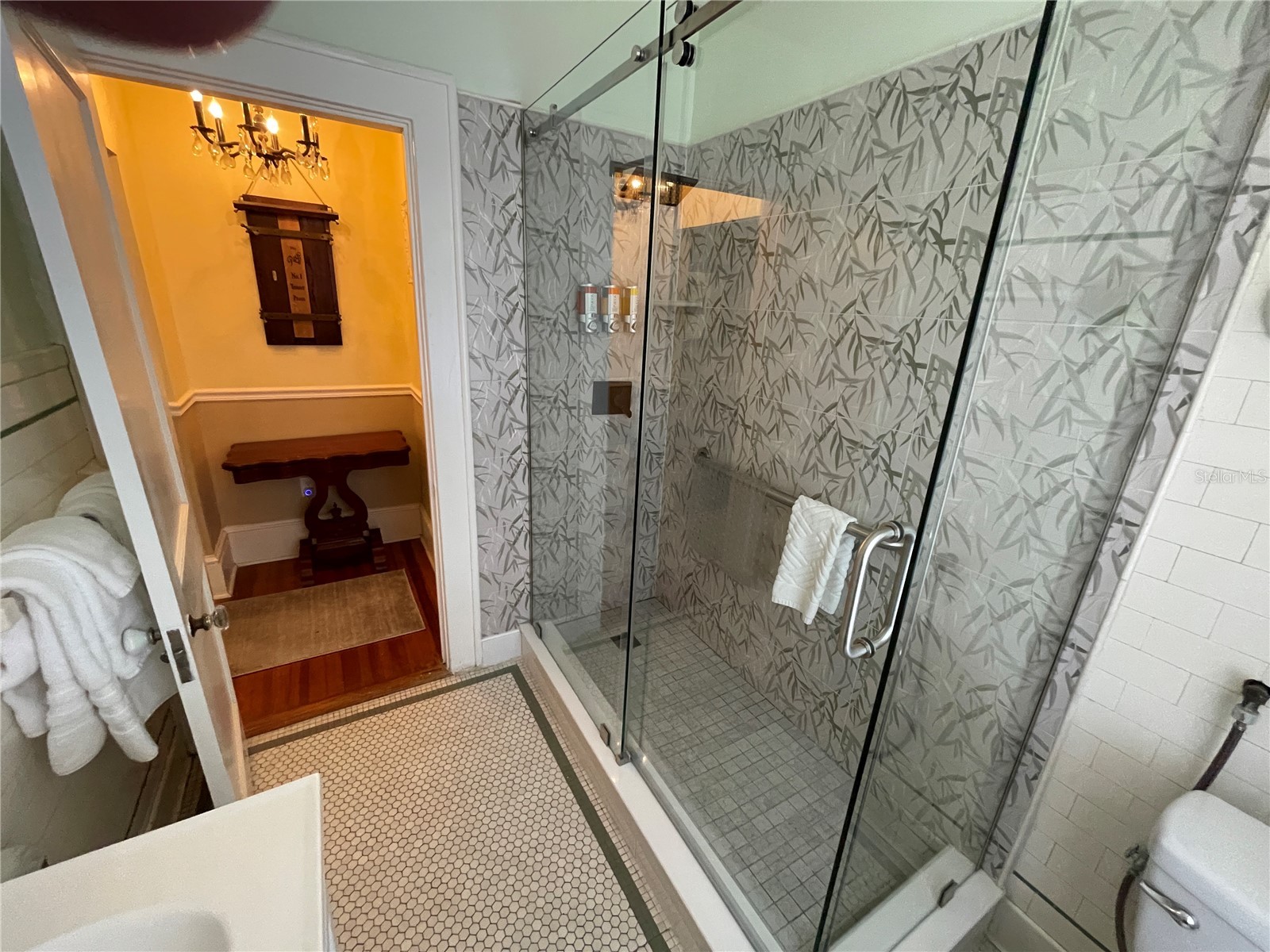 347 E 3rd Avenue Mount Dora FL 32757 V4947879 image53