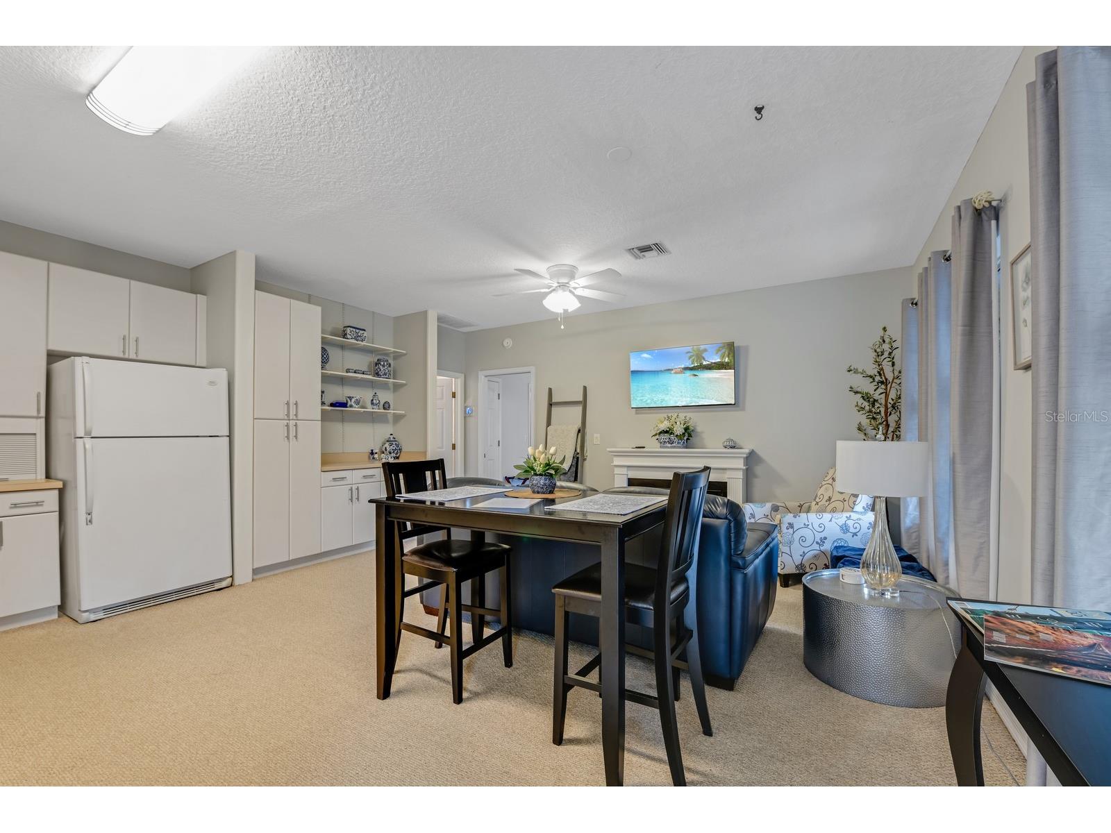 347 E 3rd Avenue Mount Dora FL 32757 V4947879 image71