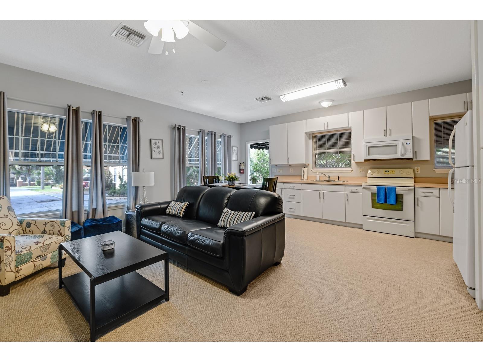 347 E 3rd Avenue Mount Dora FL 32757 V4947879 image72