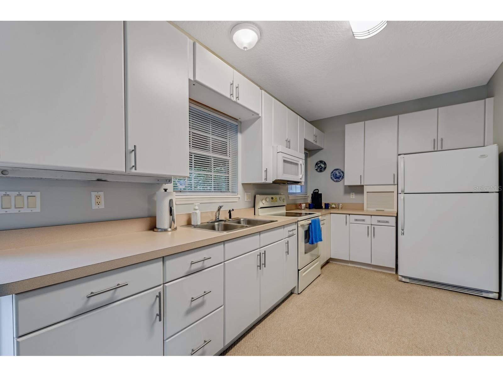 347 E 3rd Avenue Mount Dora FL 32757 V4947879 image73