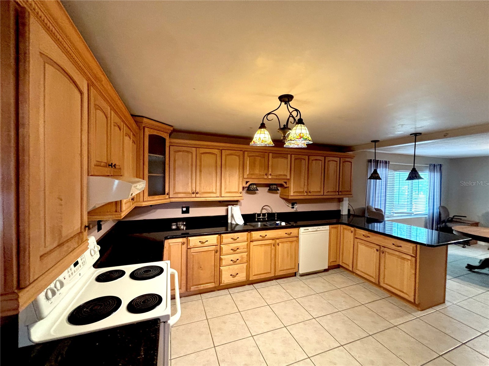 347 S 2nd Street Eagle Lake FL 33839 P4939232 image7