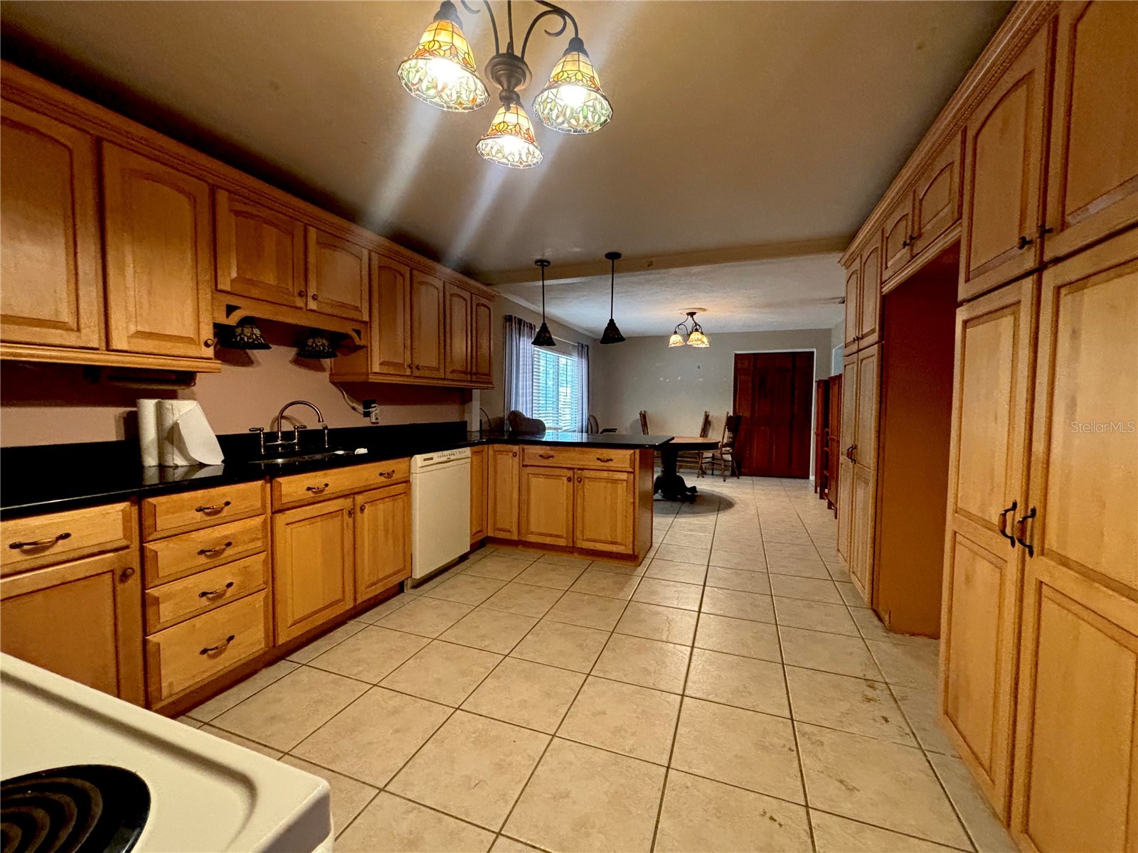 347 S 2nd Street Eagle Lake FL 33839 P4939232 image8