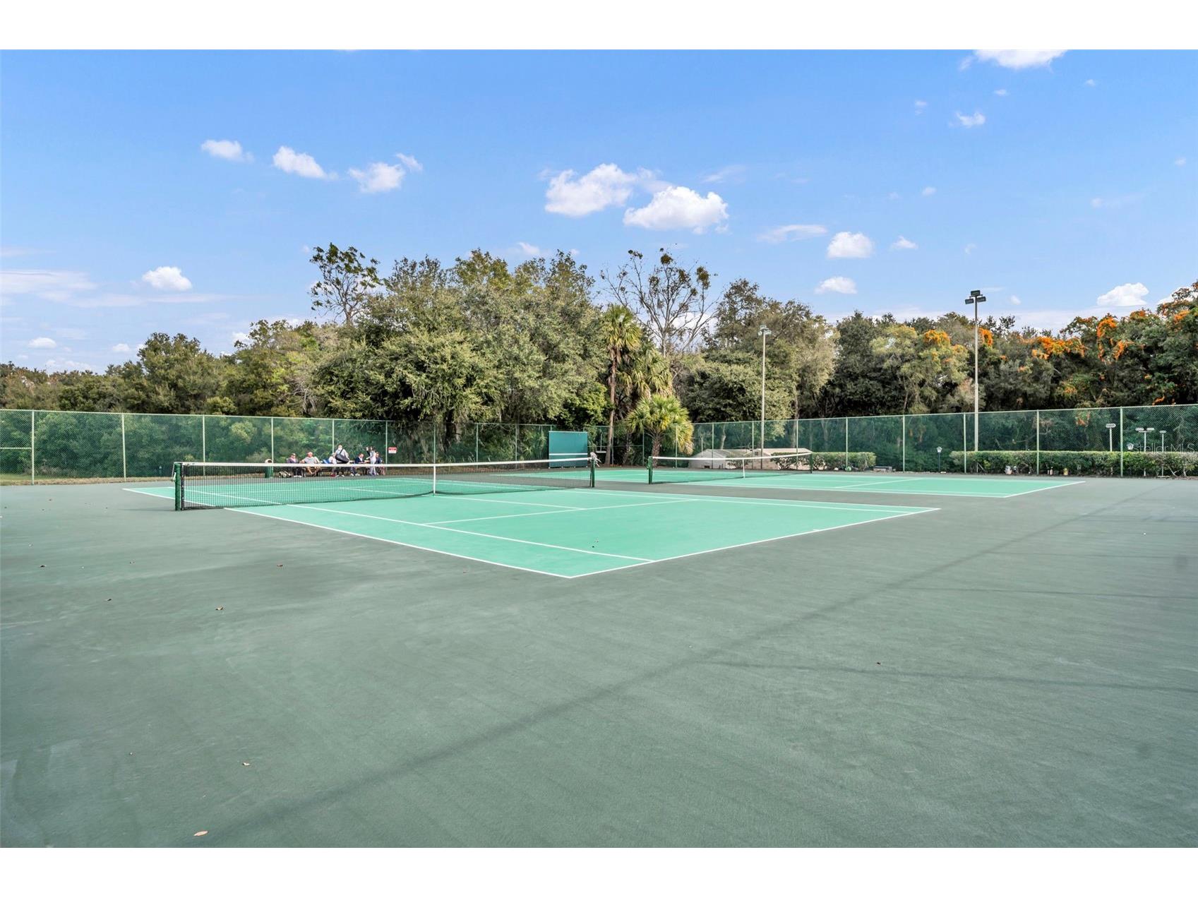 3470 Banberry Circle #1786 Zellwood FL 32798 - LAKE COHEN AND LAKE GRASSMERE O6373527 image27