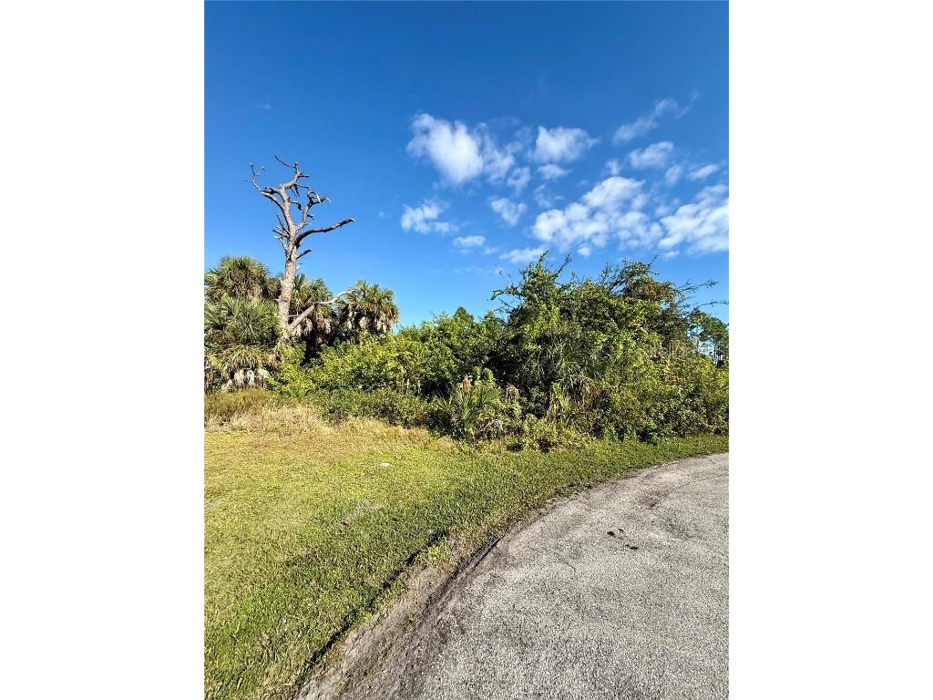 3470 Ethlyn Lane Rotonda West FL 33947 C7517798 image3