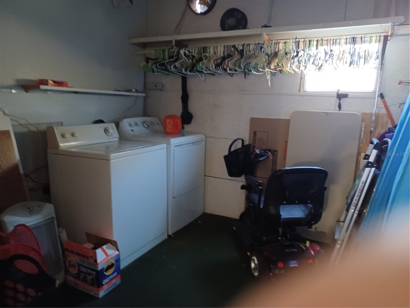 34701 Rosebud Row Zephyrhills FL 33541 TB8471013 image4