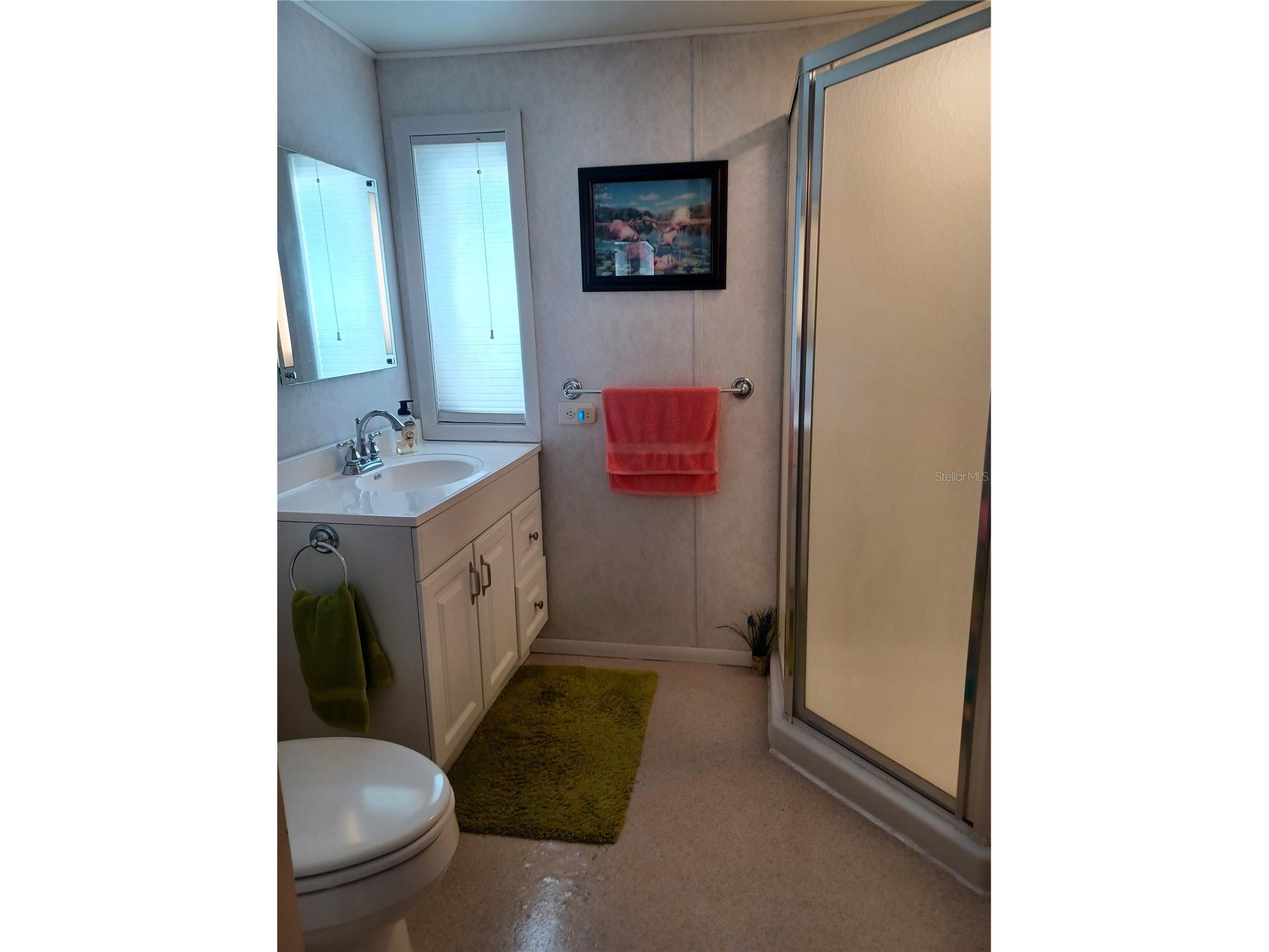 34701 Rosebud Row Zephyrhills FL 33541 TB8471013 image6