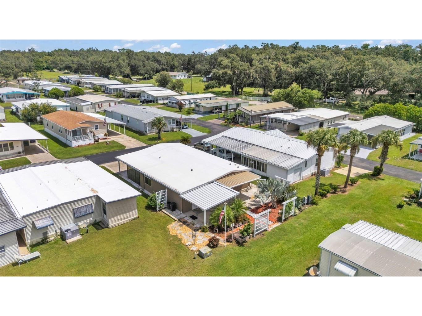 34704 Sweetpea Lane Zephyrhills FL 33541 L4955063 image50