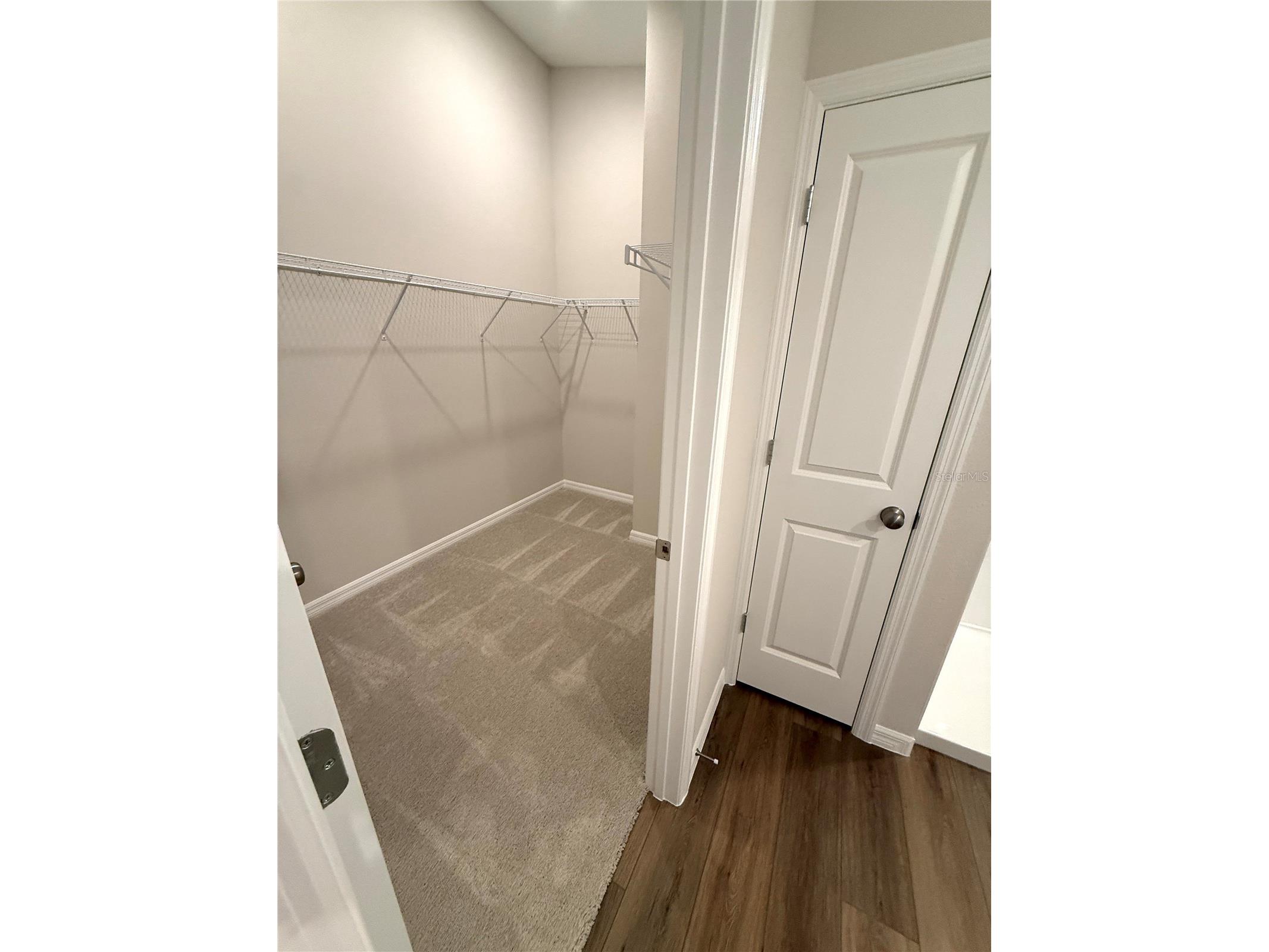 34706 Blossom Fall Path Zephyrhills FL 33541 TB8501284 image18