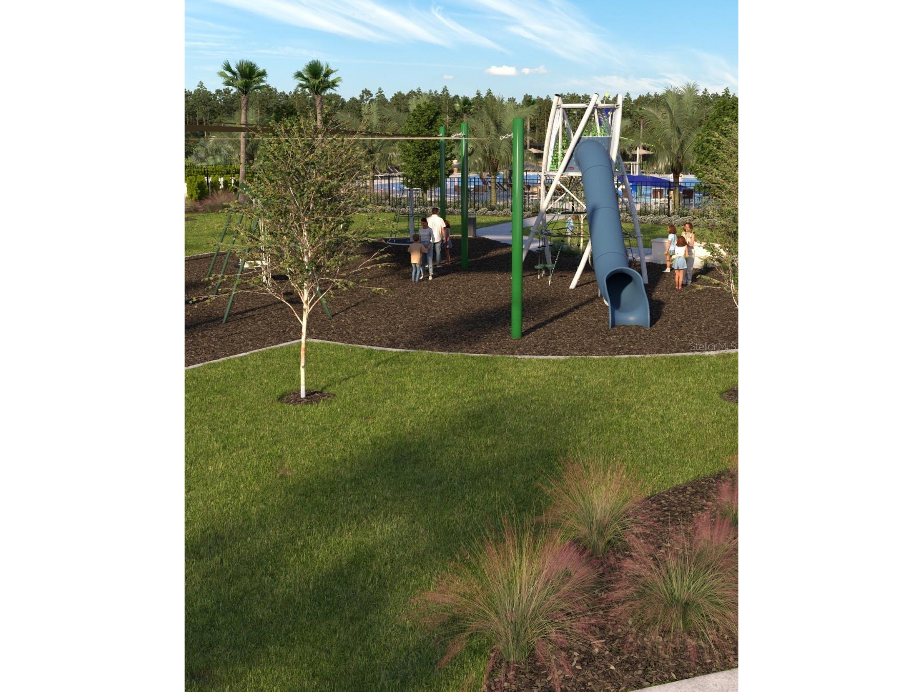 34706 Blossom Fall Path Zephyrhills FL 33541 TB8501284 image25