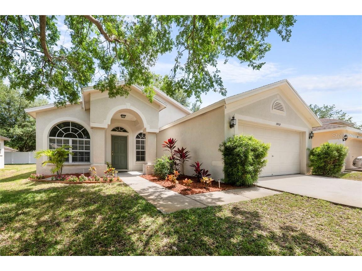 34707 Birchmont Lane Zephyrhills FL 33541 T3521960 image1