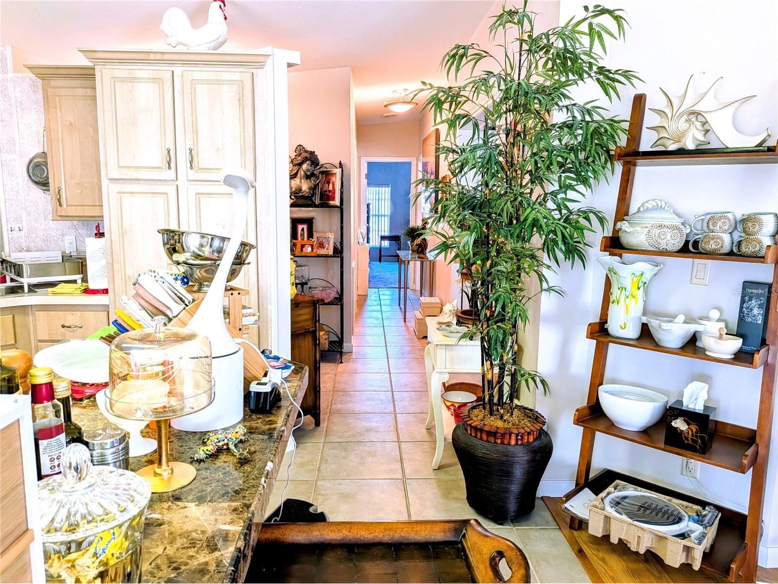 34709 Lake Drive N Pinellas Park FL 33781 TB8474823 image11