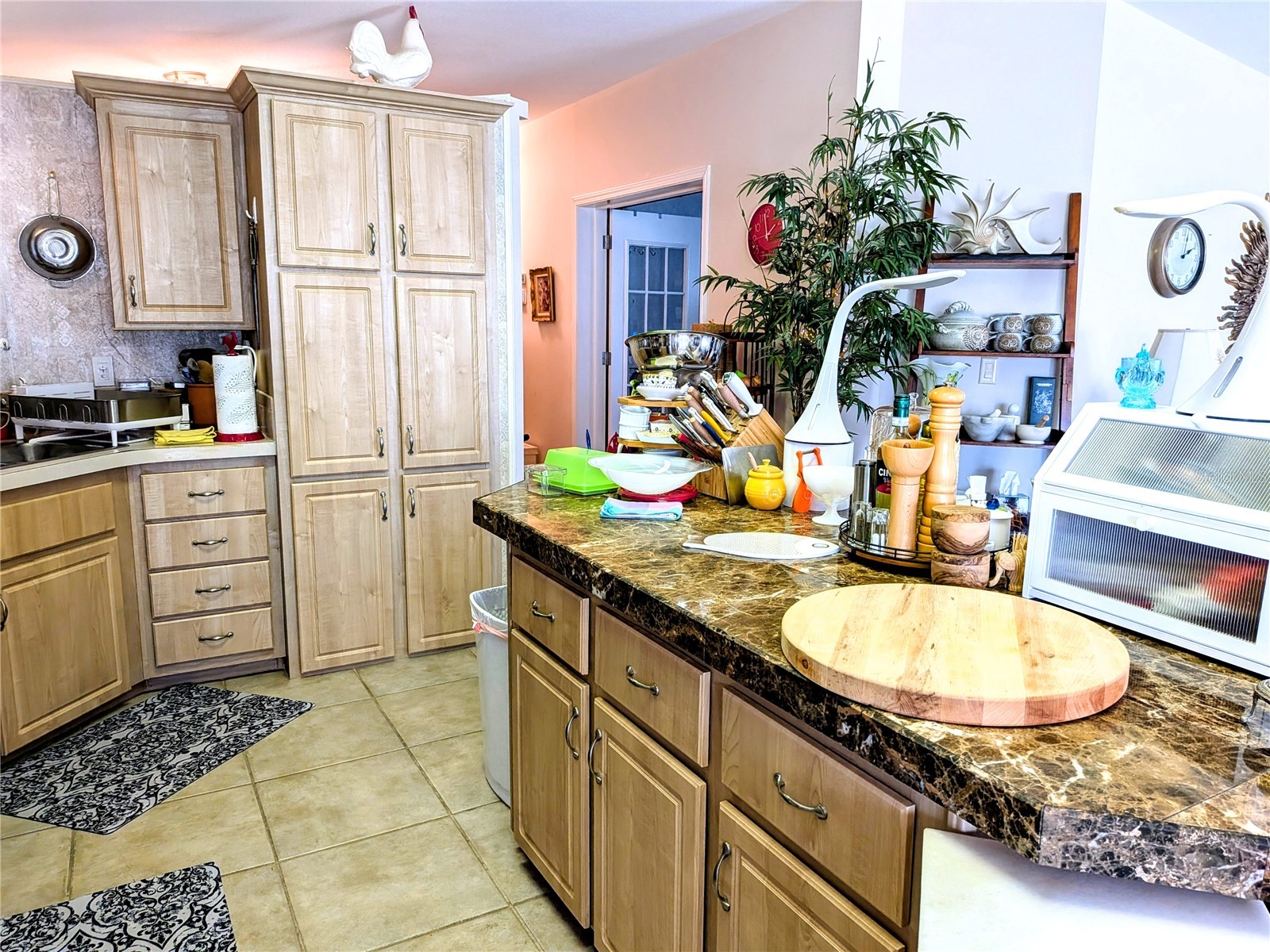 34709 Lake Drive N Pinellas Park FL 33781 TB8474823 image12