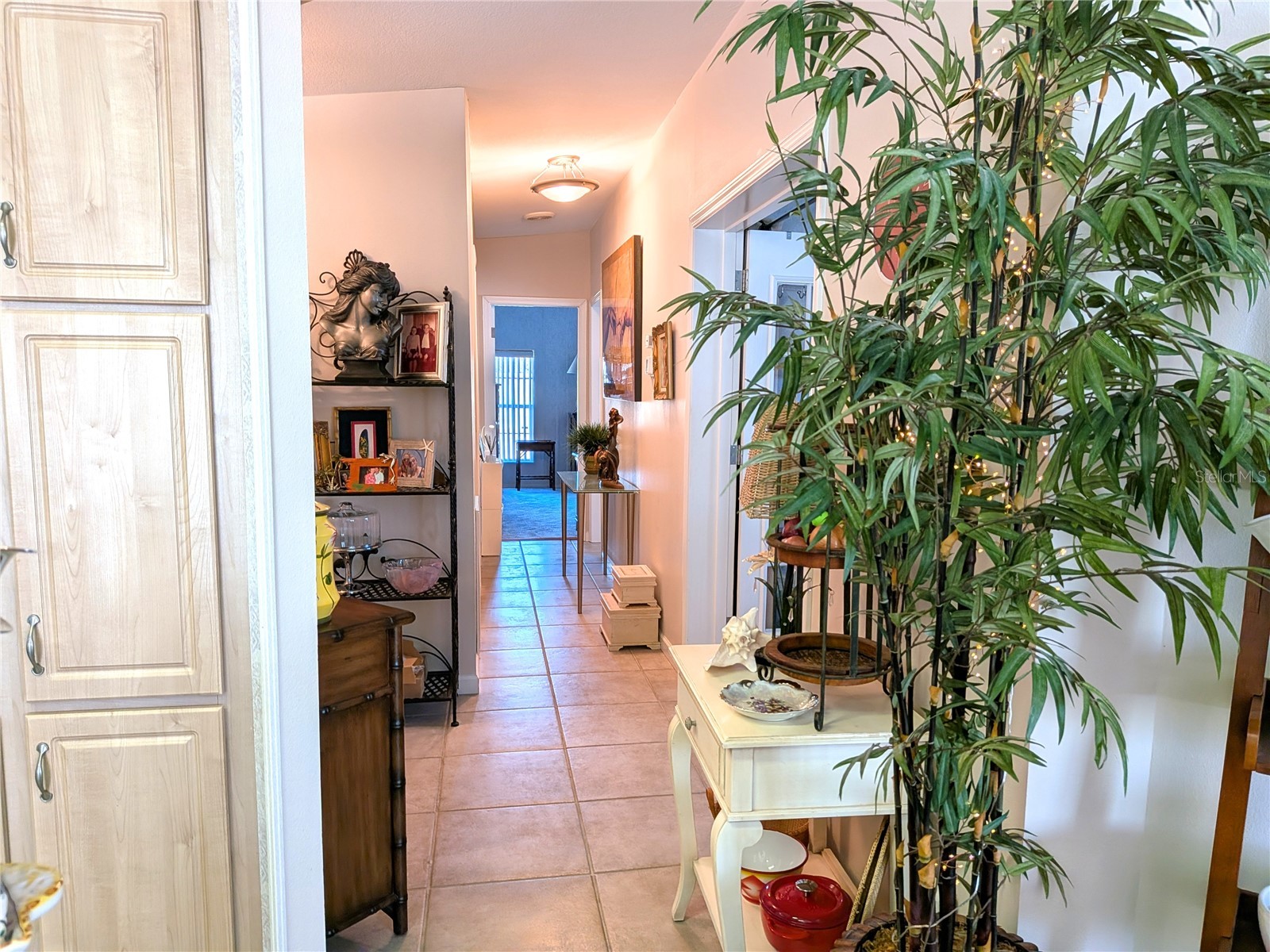 34709 Lake Drive N Pinellas Park FL 33781 TB8474823 image13